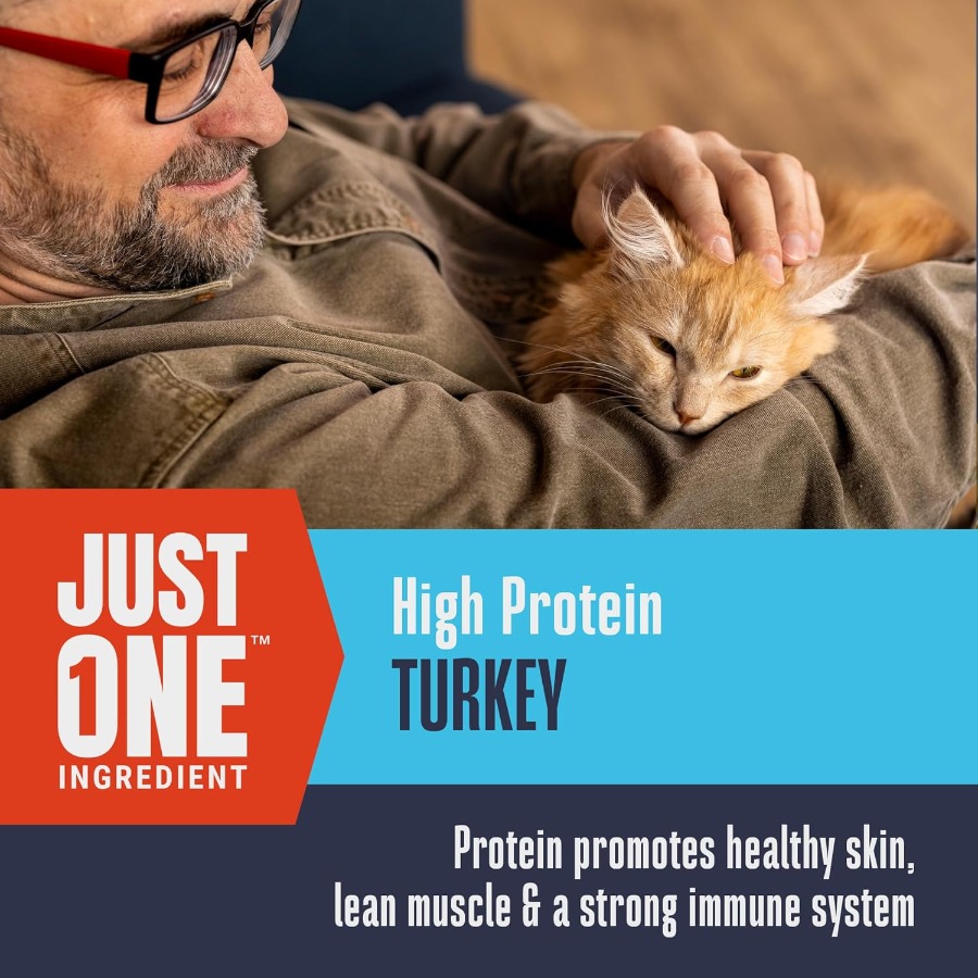 Whole Life Cat Just One Turkey - đánh giá và giá Food Snacks With Protein