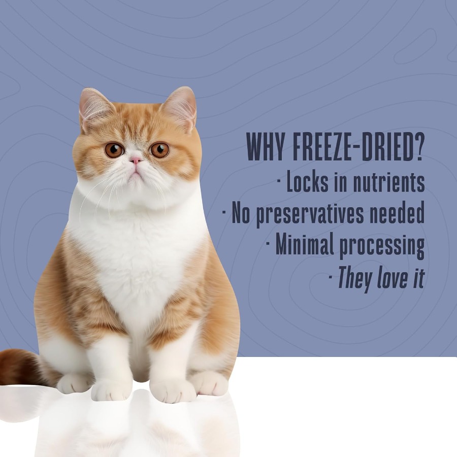 Whole Life Cat Just One Turkey - đánh giá và giá Food Snacks With Protein