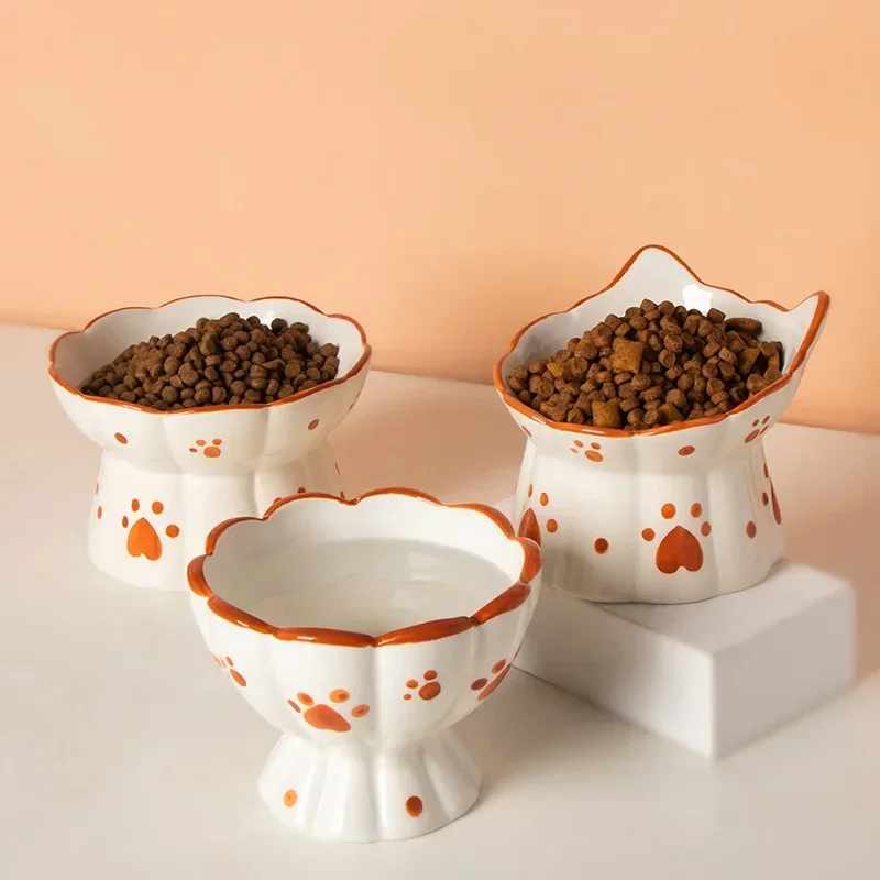 Cat Ceramic Food Bowl Elevated - đánh giá và giá Food Snacks To Eat
