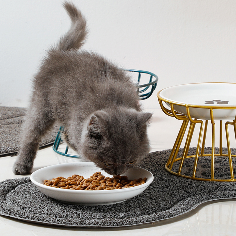 2024 New Pet Ceramic Bowl Iron - đánh giá và giá Food Snacks To Eat